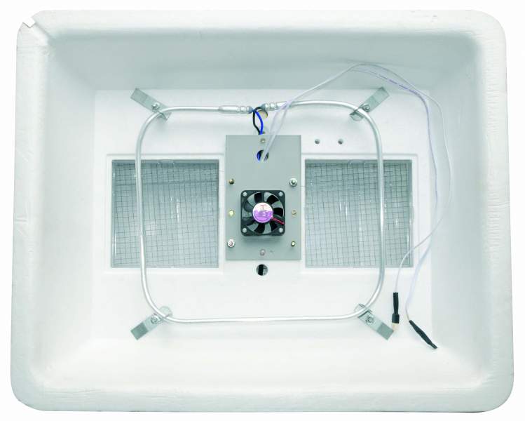 DRAGON PREMIUM INCUBATOR